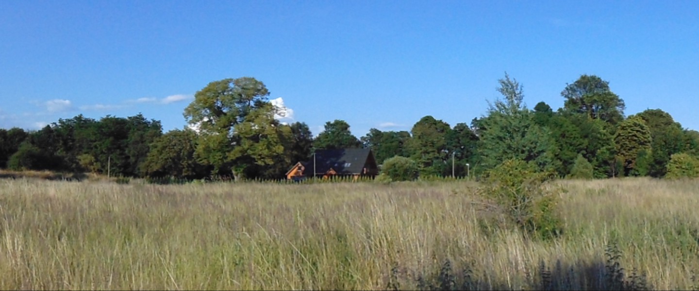 cropped-dsc003861.jpg